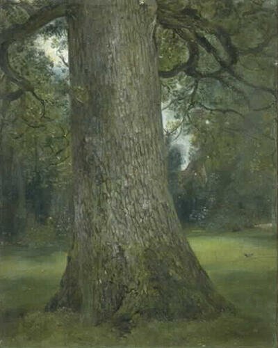 study-of-the-trunk-of-an-elm-tree-1821