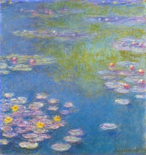 water-lilies-29